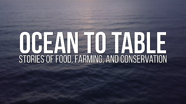 Still of Ocean to Table intro (graphic overlay w/blue ocean background).