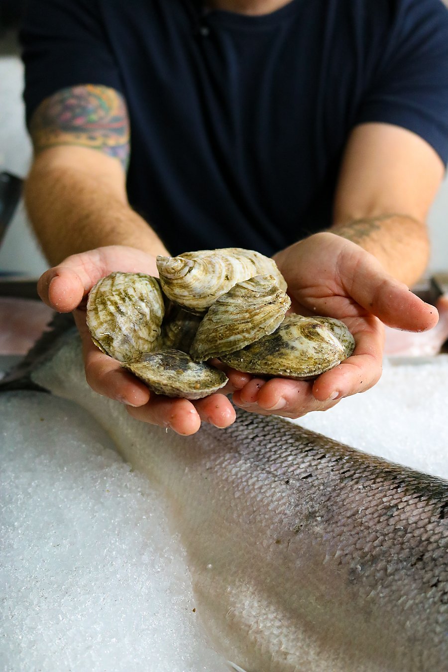Man holds oysters in his outreached hands.