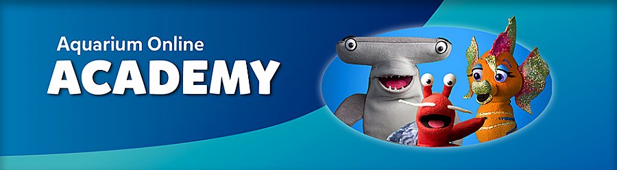 Aquarium Academy Pacific Pals