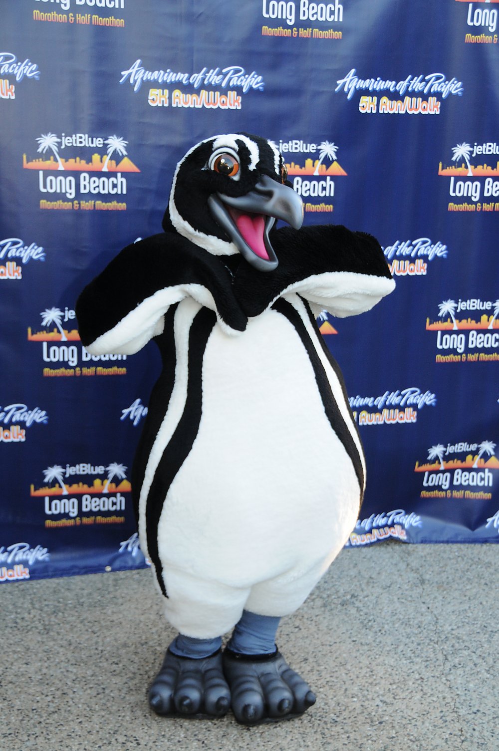 Penguin mascot posing in front of 5k step and repeat