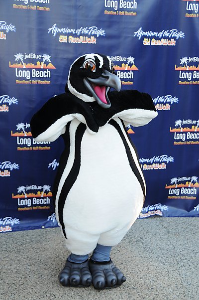 Penguin mascot posing in front of 5k step and repeat - thumbnail