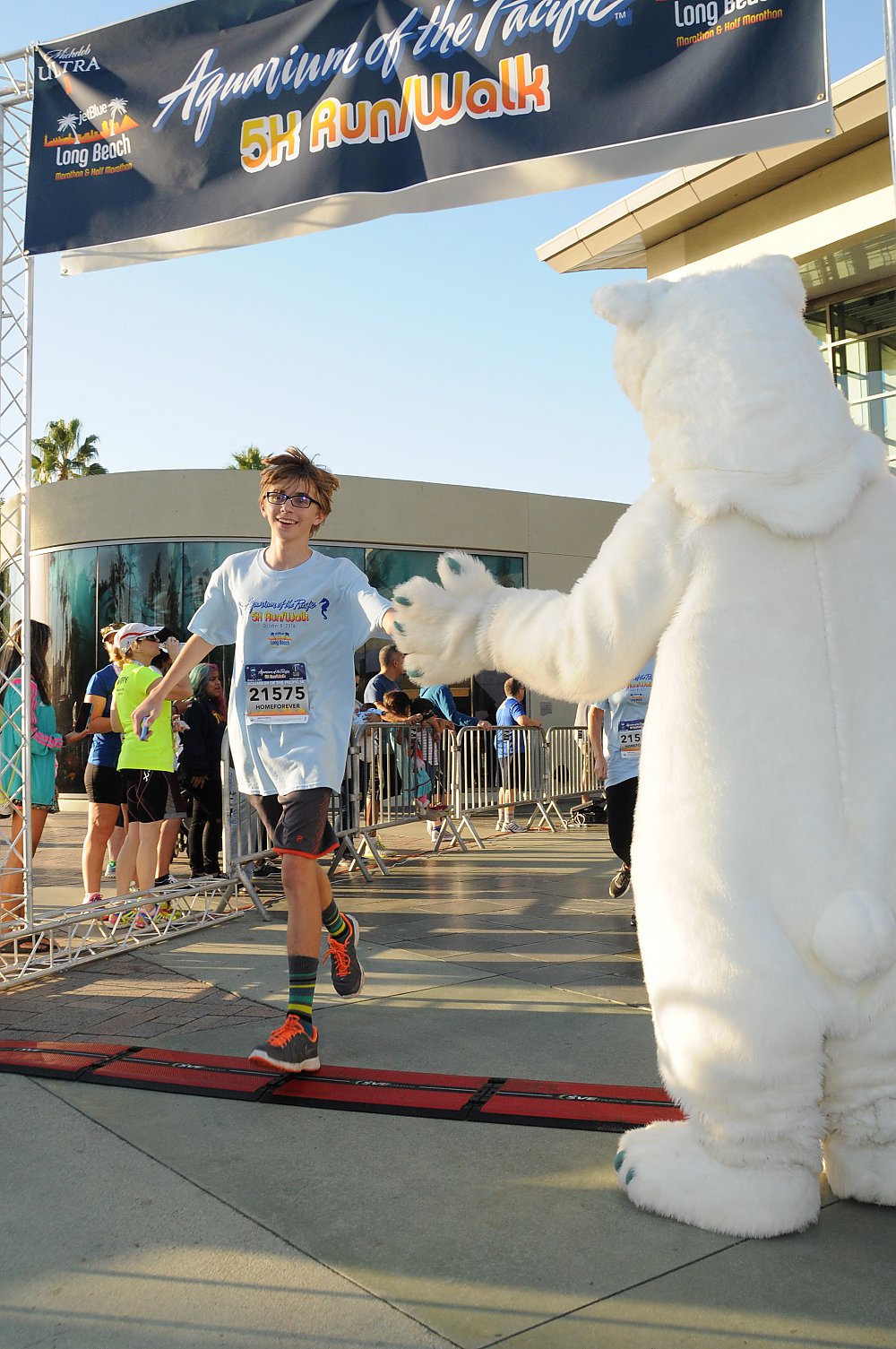 Aquarium polar bear mascot high-fiving a 5k runner as they finish the race