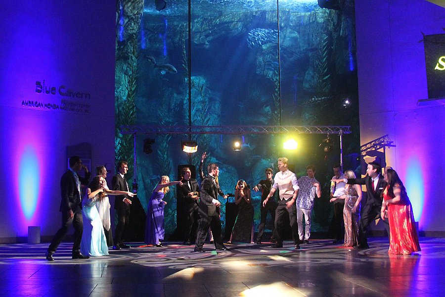 Prom attendees dancing in front of Blue Cavern Exhibit