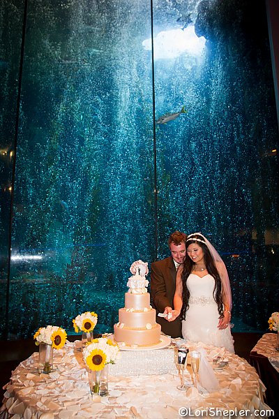 Bride and Groom cutting a cake in front of blue cavern exhibit - thumbnail
