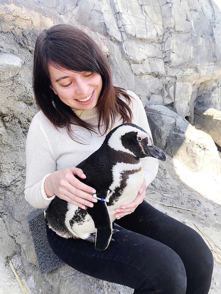 Madeline Walden with penguin on her lap inside the June Keyes Penguin Habitat