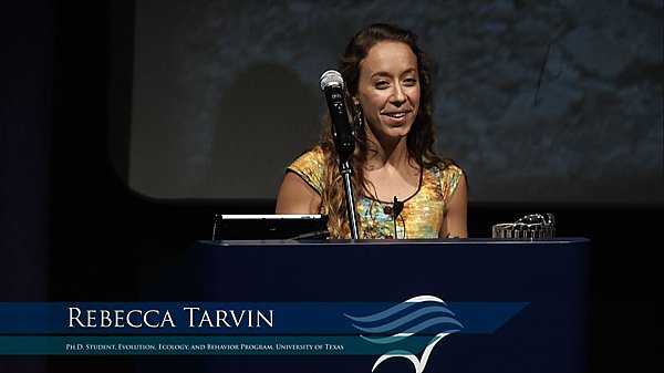 Lecture Archive: Rebecca Tarvin