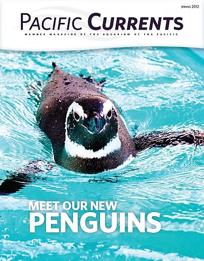CurrentsSpring2012.JPG