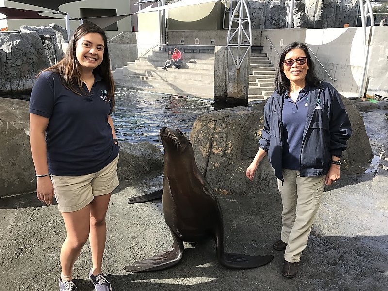 Staff pose with a sea lion on exhibit.