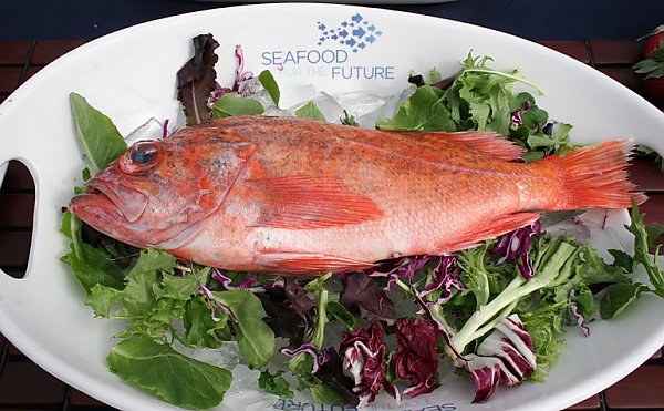 Rockfish Seafood for the Future