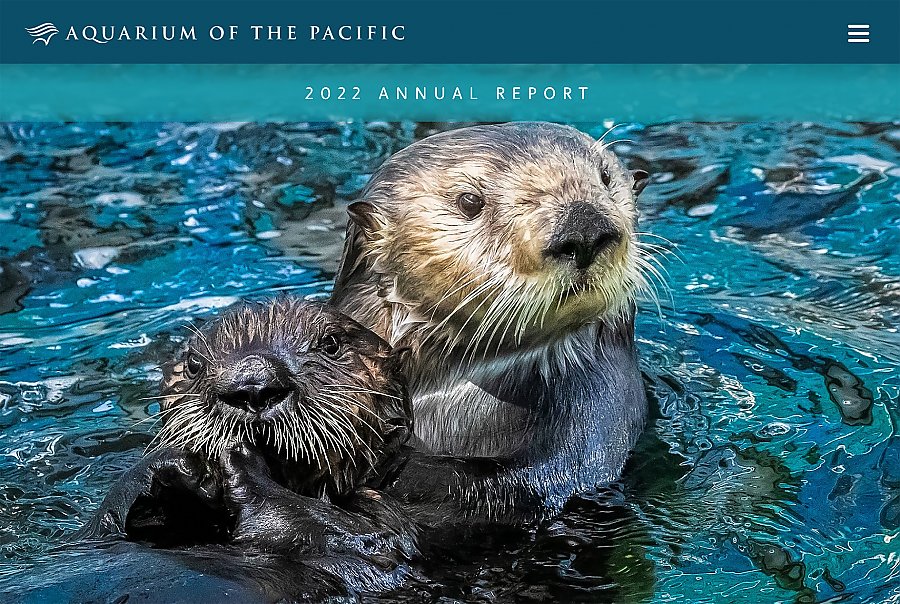 2022 Annual Report cover showing two sea otters in water