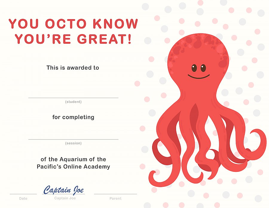 You Octo Know