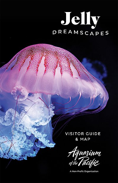 2026 Jelly Dreamscapes: Themed Visitor Guide cover