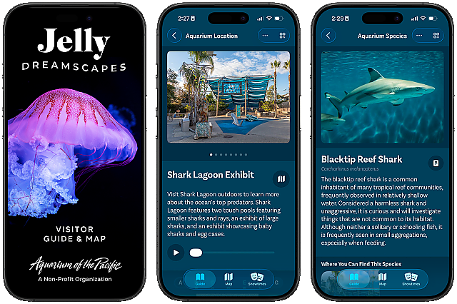 Jelly Dreamscapes Aquarium App Screenshots 3-up