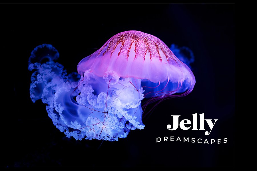 Jelly Dreamscapes Visitor Guide App Main Image