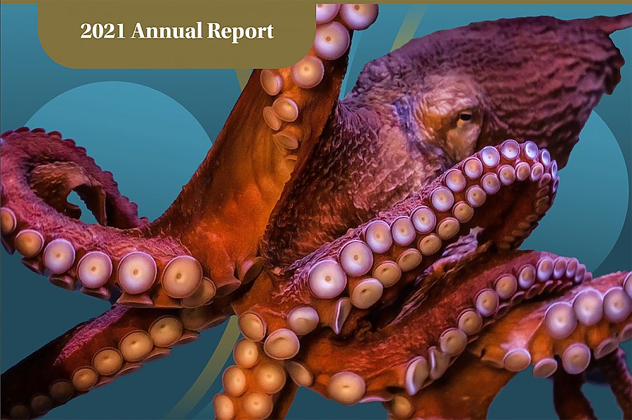 Annual Report 2021 Cover showing octopus on blue background
