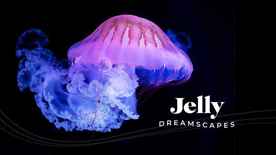 Jelly Dreamscapes