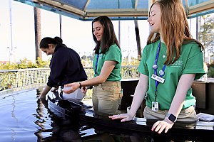 volunteering aquariumofpacific