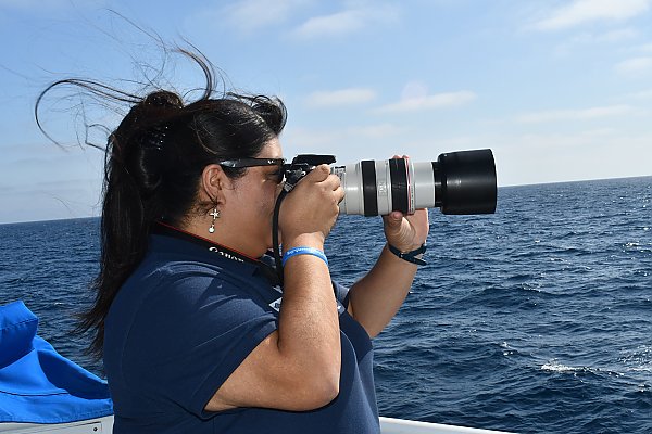 photo ID intern looks through camera with long-distance lens while out on a boat on the open ocean
