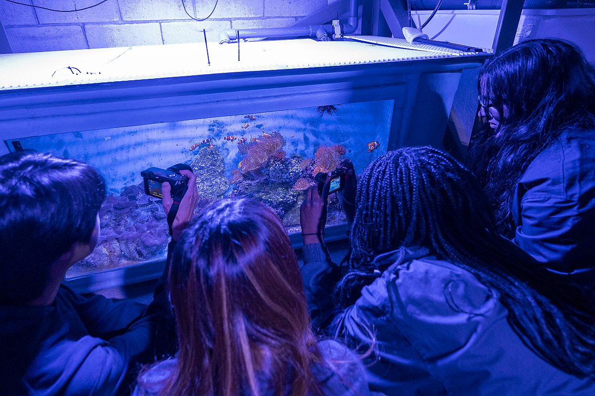 teens looking at an aquarium behind the scenes