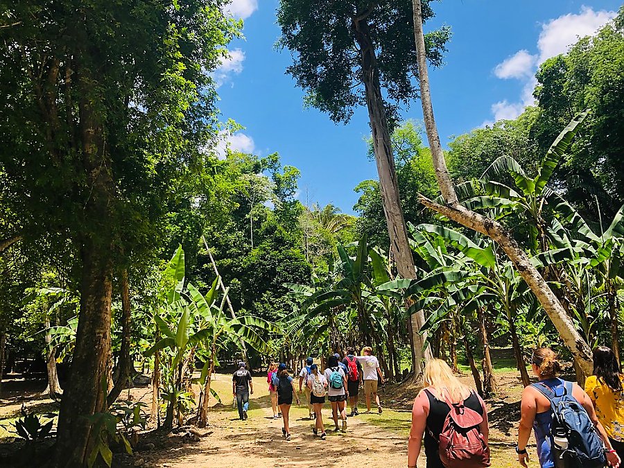 Students on a tropical hike