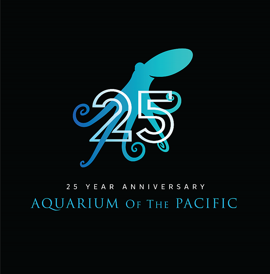 25th_anniversary_logo_P4V1_RGB_blue_on_black.png
