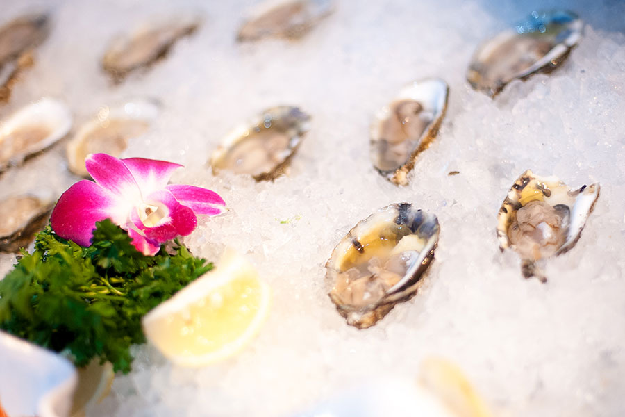 oysters on ice