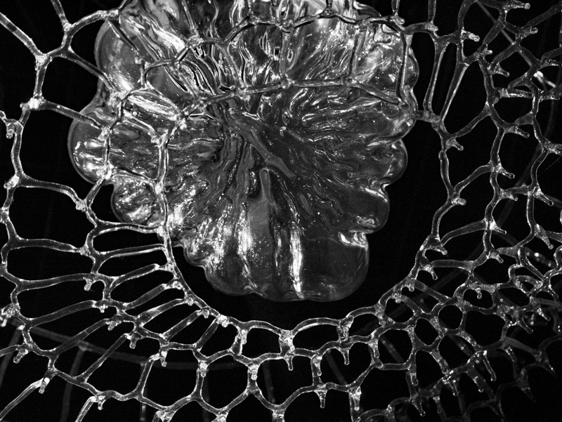glass plankton sculpture