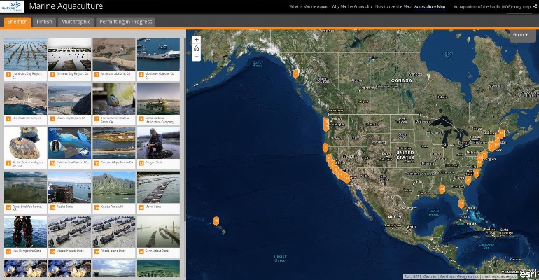 Story_Map_screenshot_kt.jpg