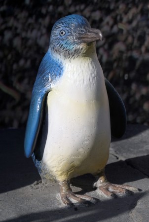 Little Blue (Fairy) Penguin statue at the Aquarium