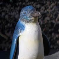 little_blue_penguin_statue_THM.jpg