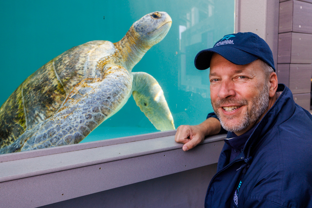 Jeff Flocken with Meatloaf the Sea Turtle