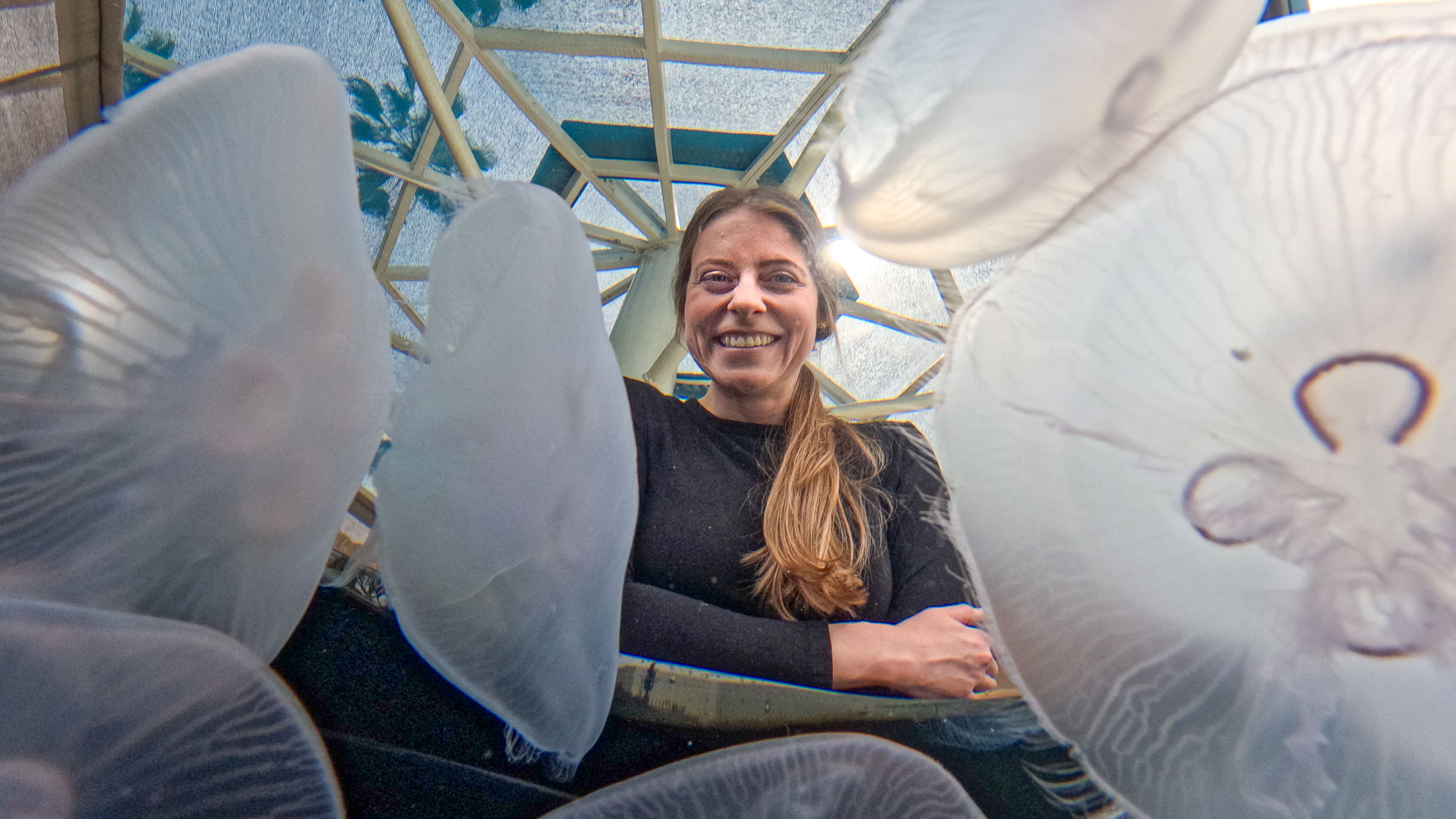 woman peering downward through sea jellies