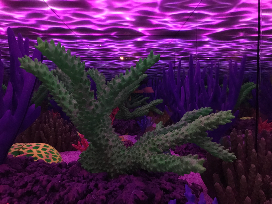 Purple tinted coral diorama with video projection