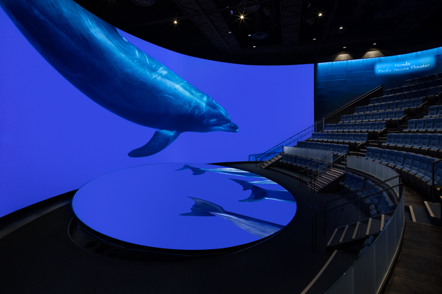 Pacific Visions Theater with Dolphin