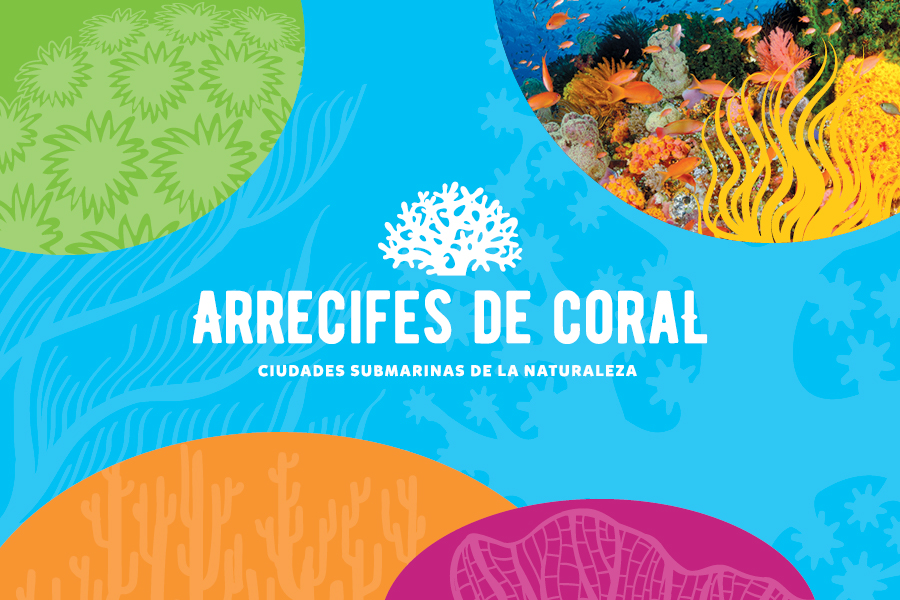 Coral Reefs - Arrecifes de Coral
