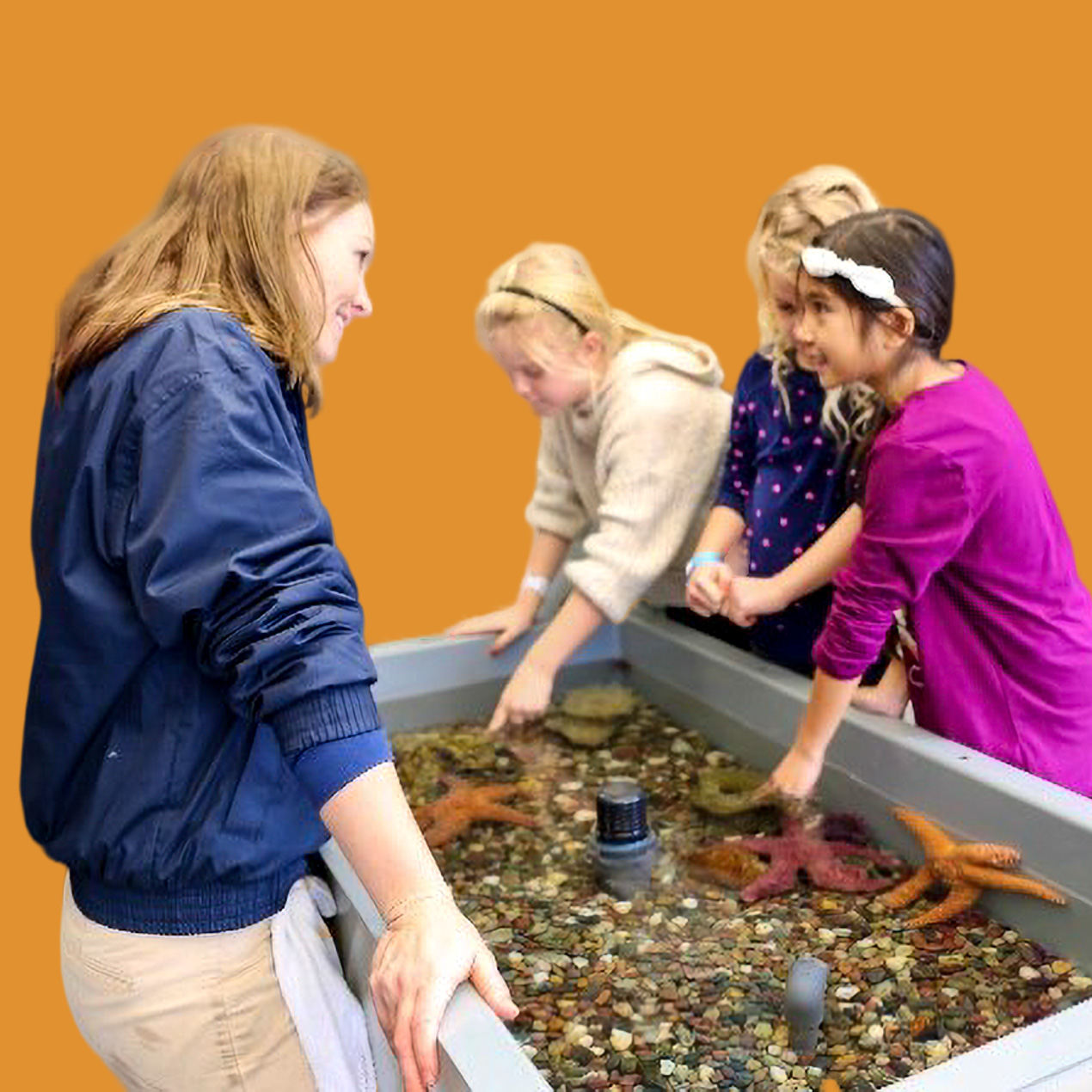 educator with kids at touchpool orange background
