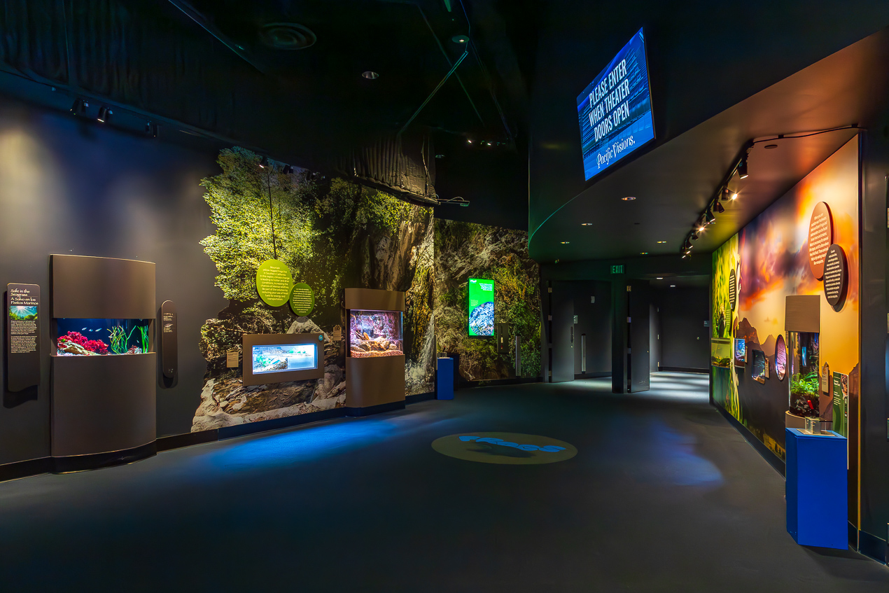 frogs theater entrance gallery