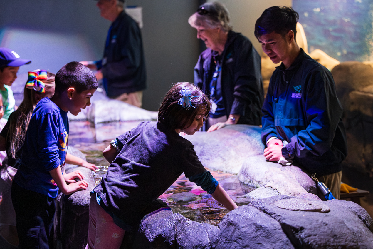 girl at touch tank with educators