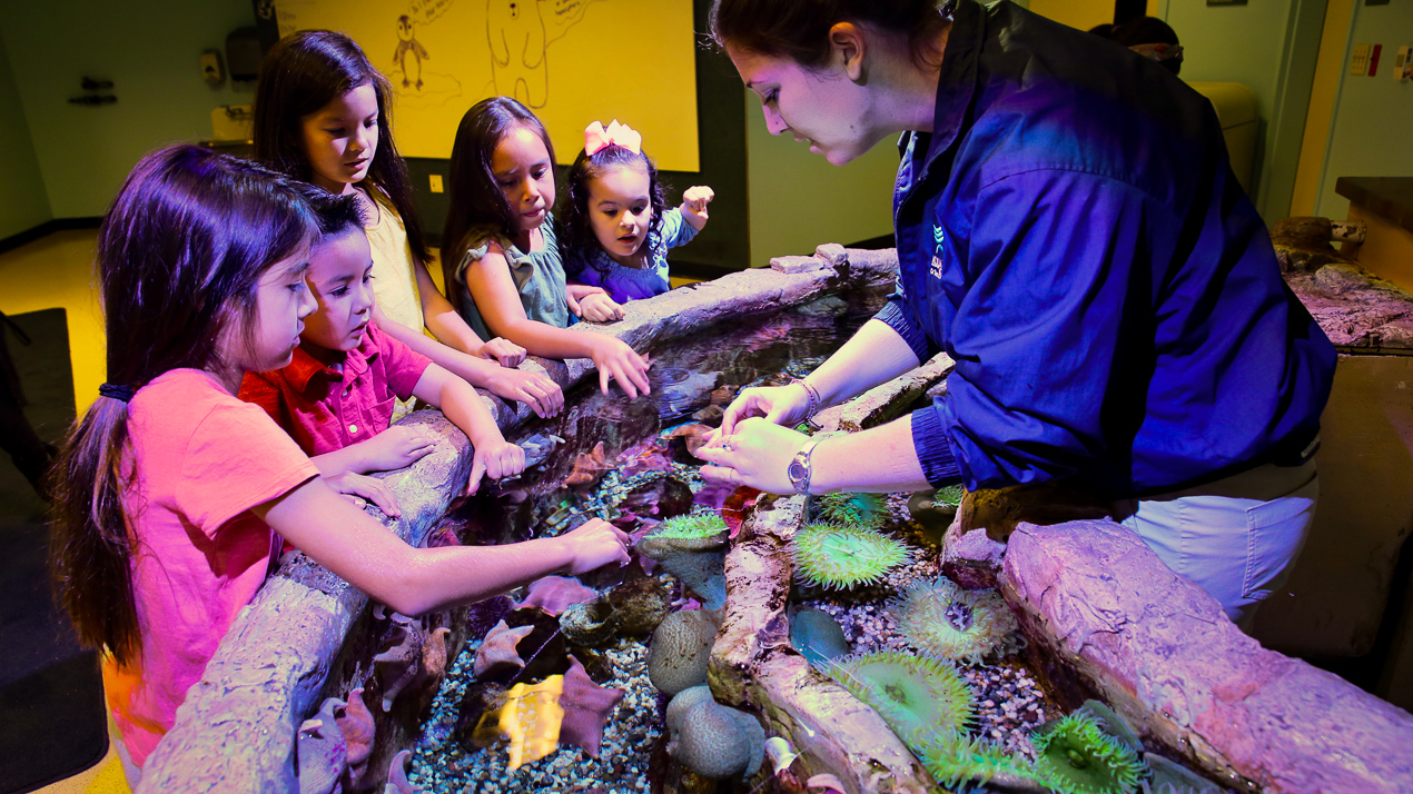 kids at touchpool with education staff