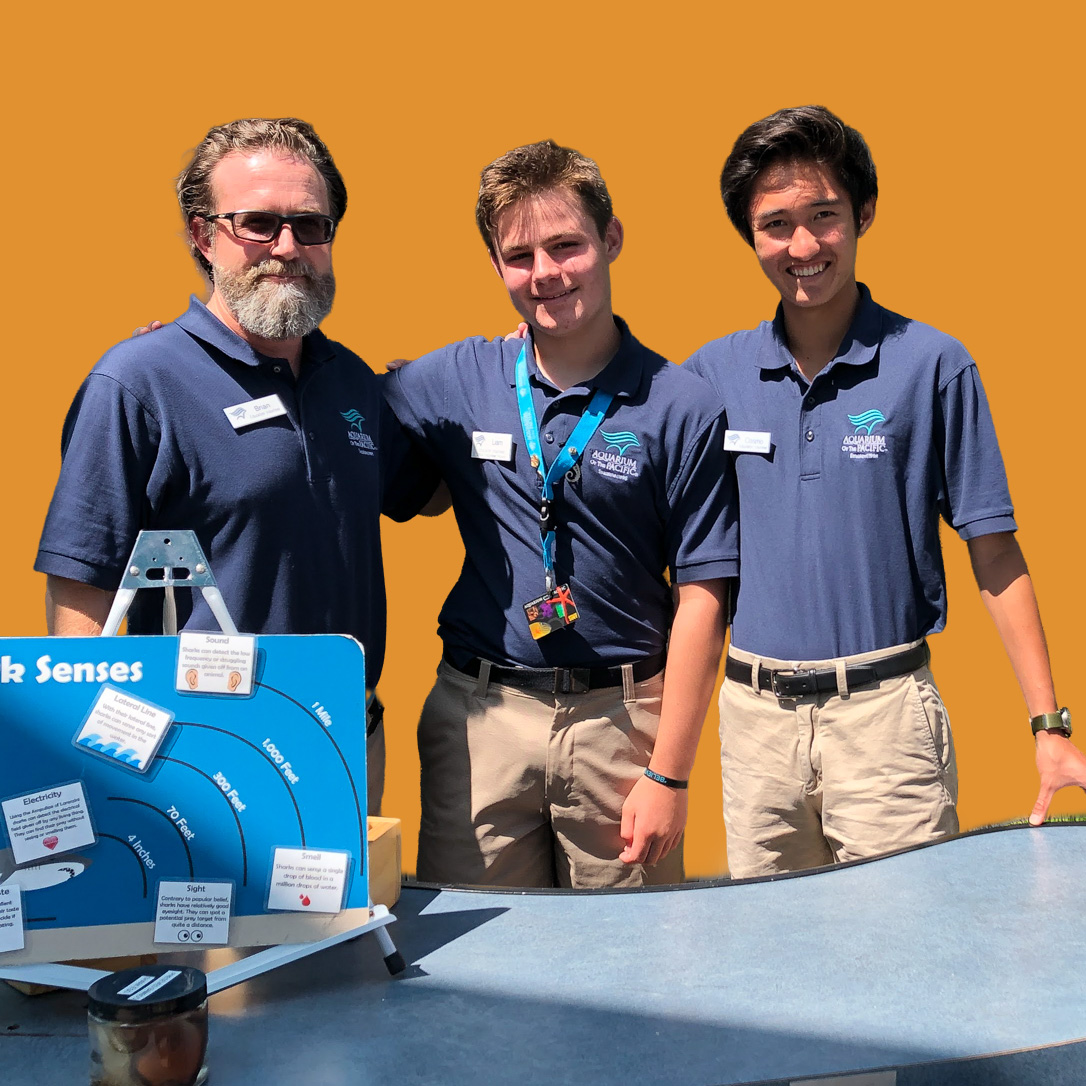 three staff members in front of table