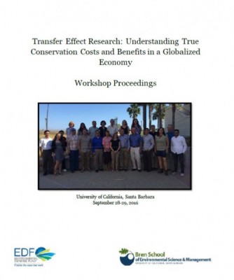 Transfer Effects Report cover