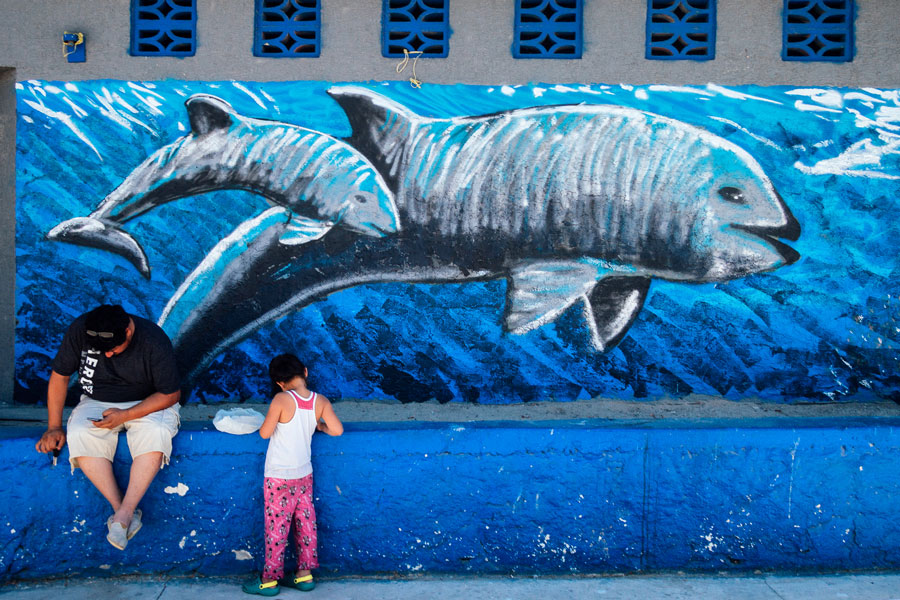 Vaquita mural with people in front