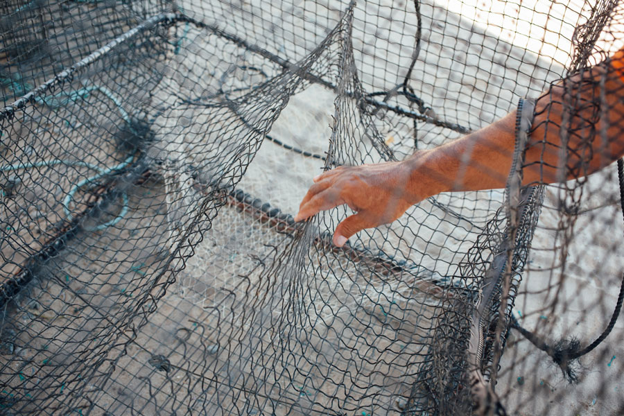 Fishermen analyze a collapsible trap.