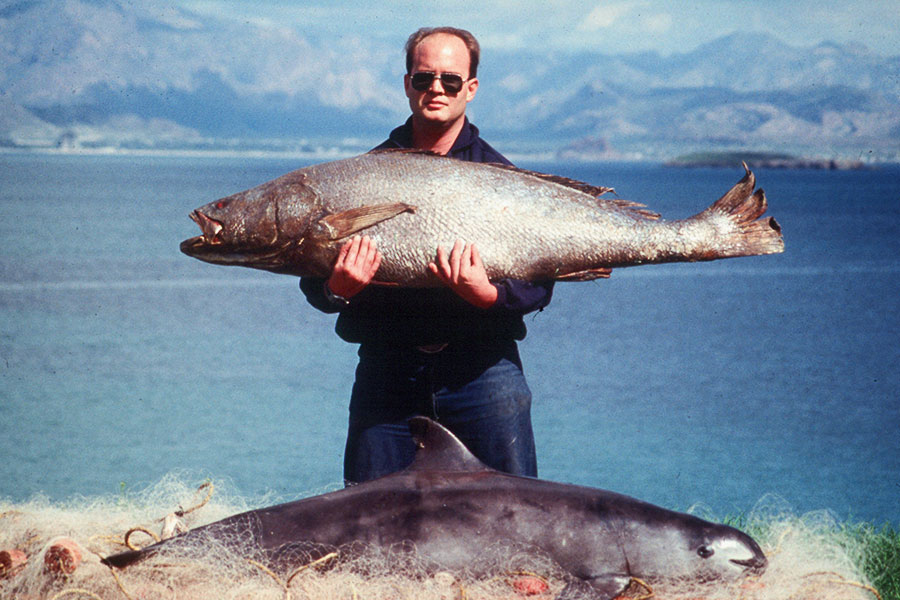 Man holding a totoaba fish