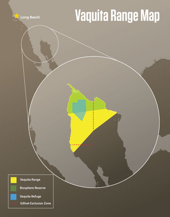 Vaquita range map