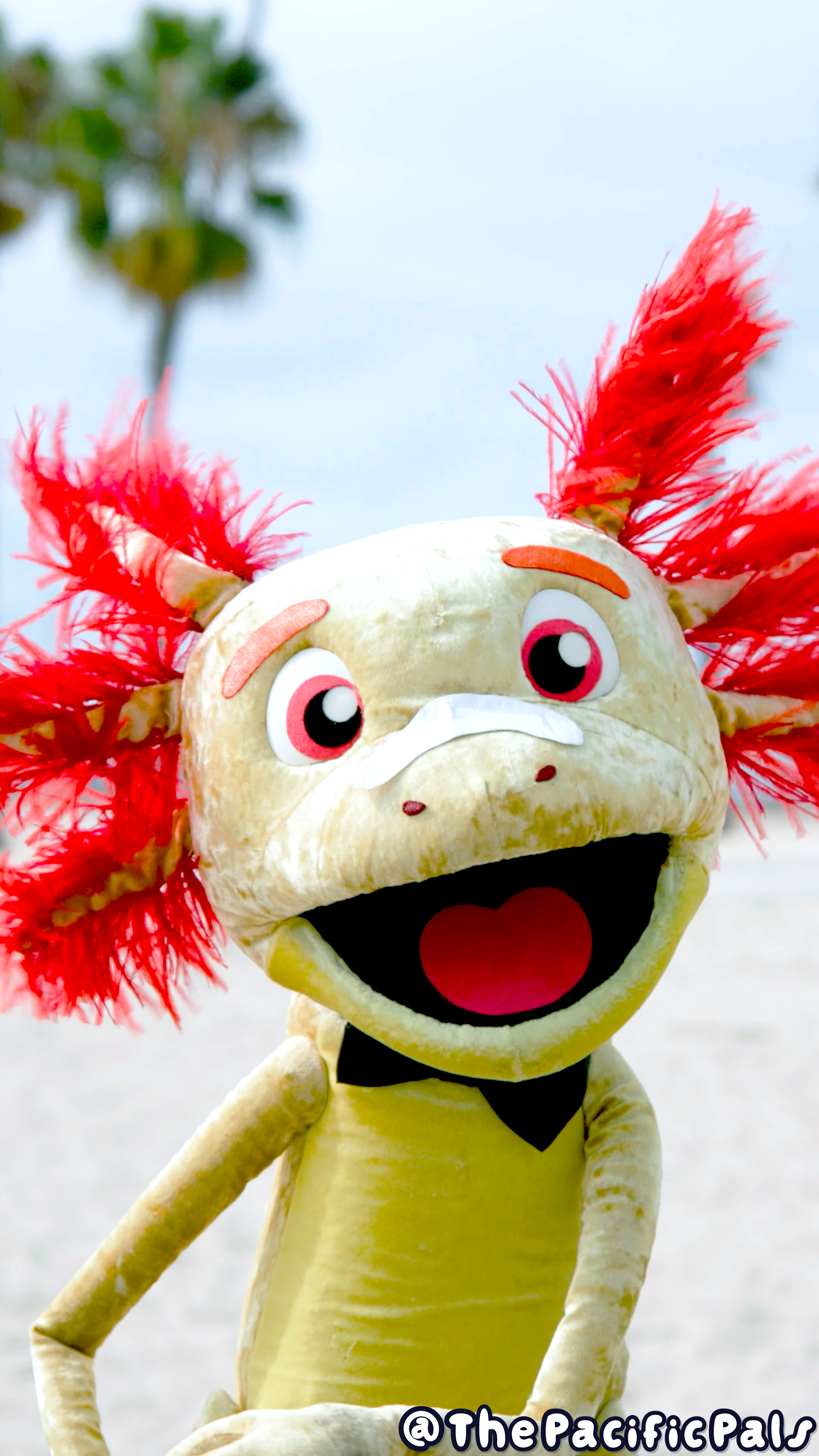 Axl the Axolotl smiles on the beach while wearing sunscreen.