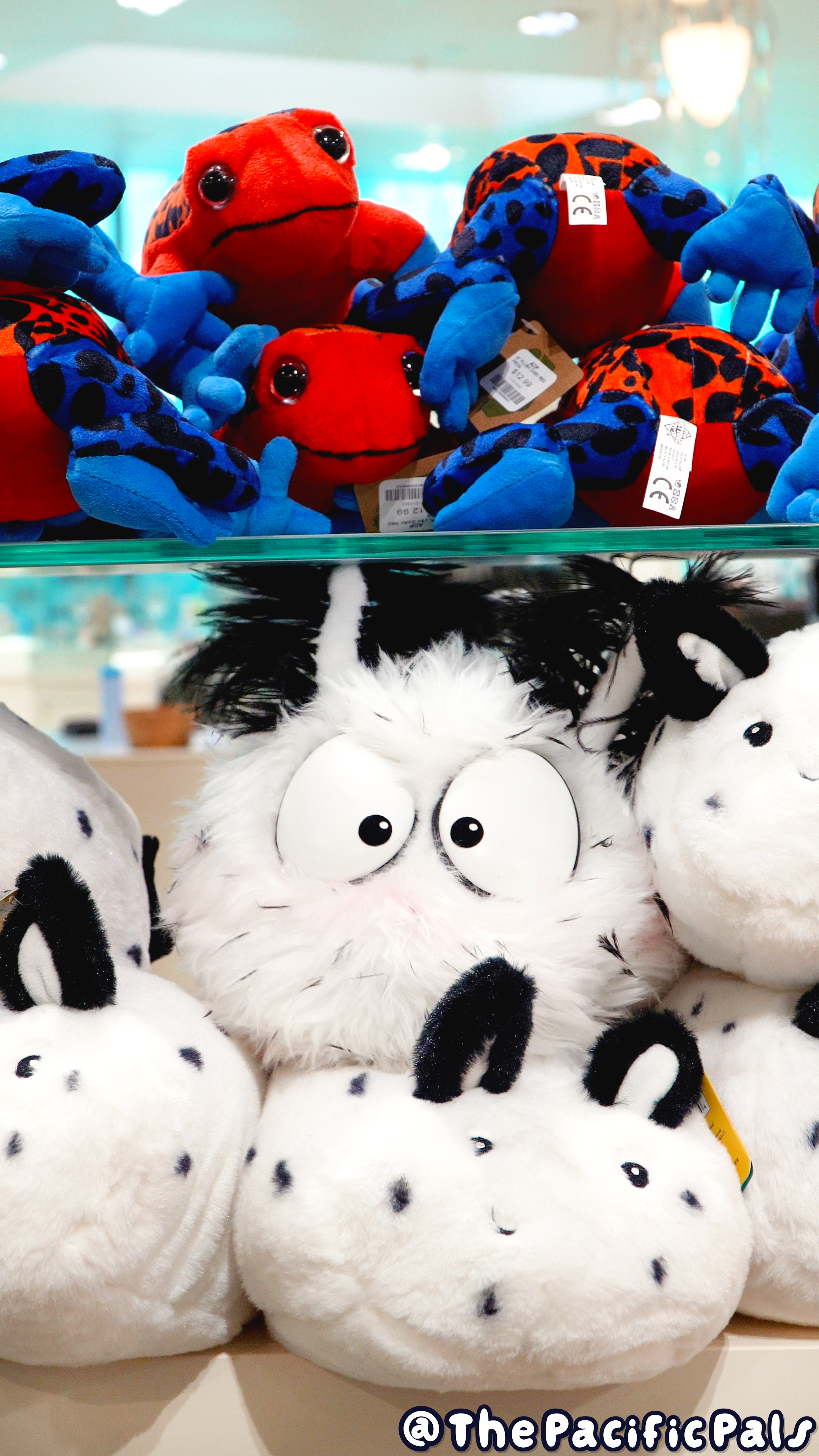 Beans the Sea Bunny hides among a row of sea bunny stuffed animals.