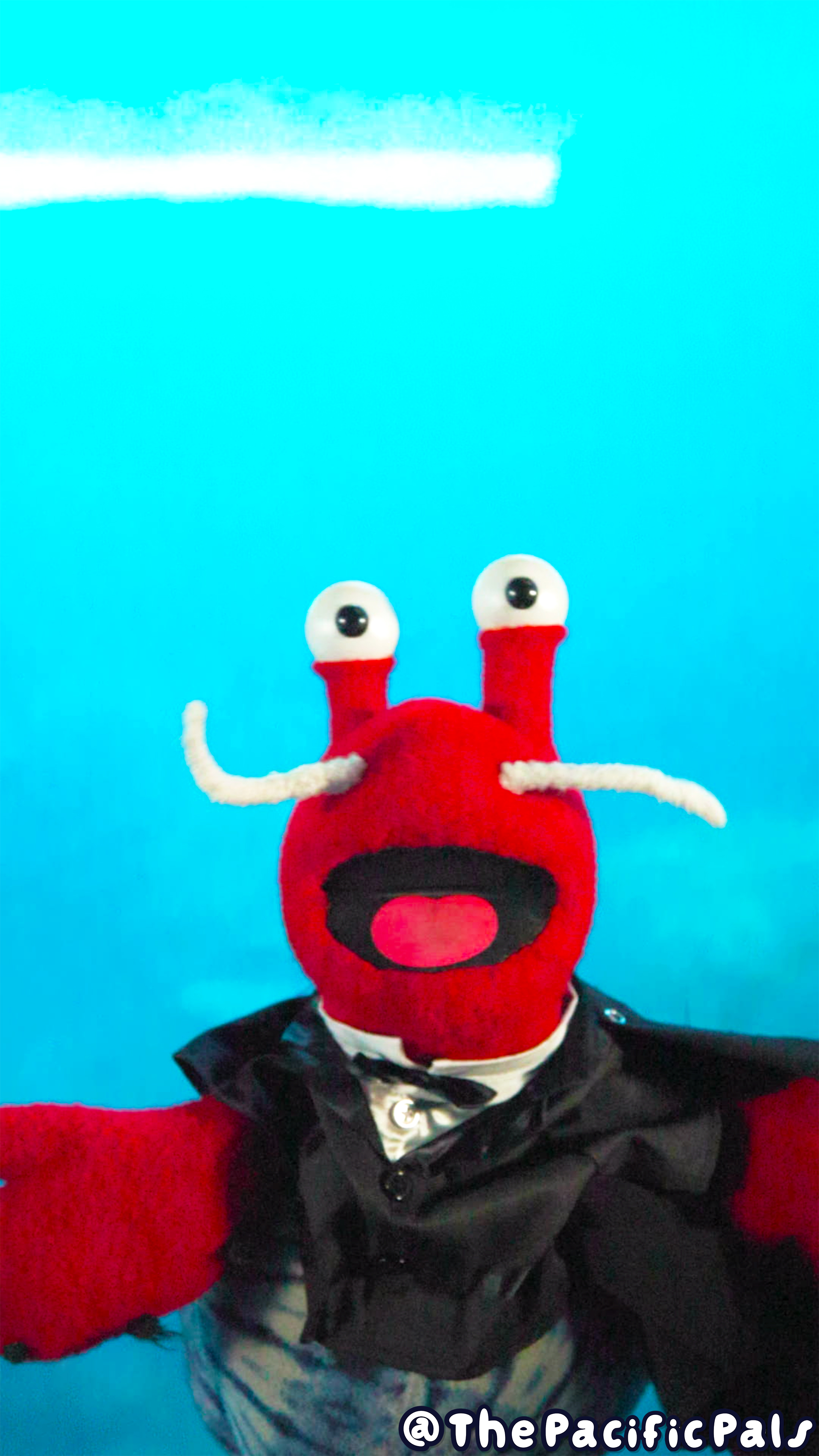 Captain Quinn the Hermit Crab strikes a dramatic pose wearing a black suit and cape.