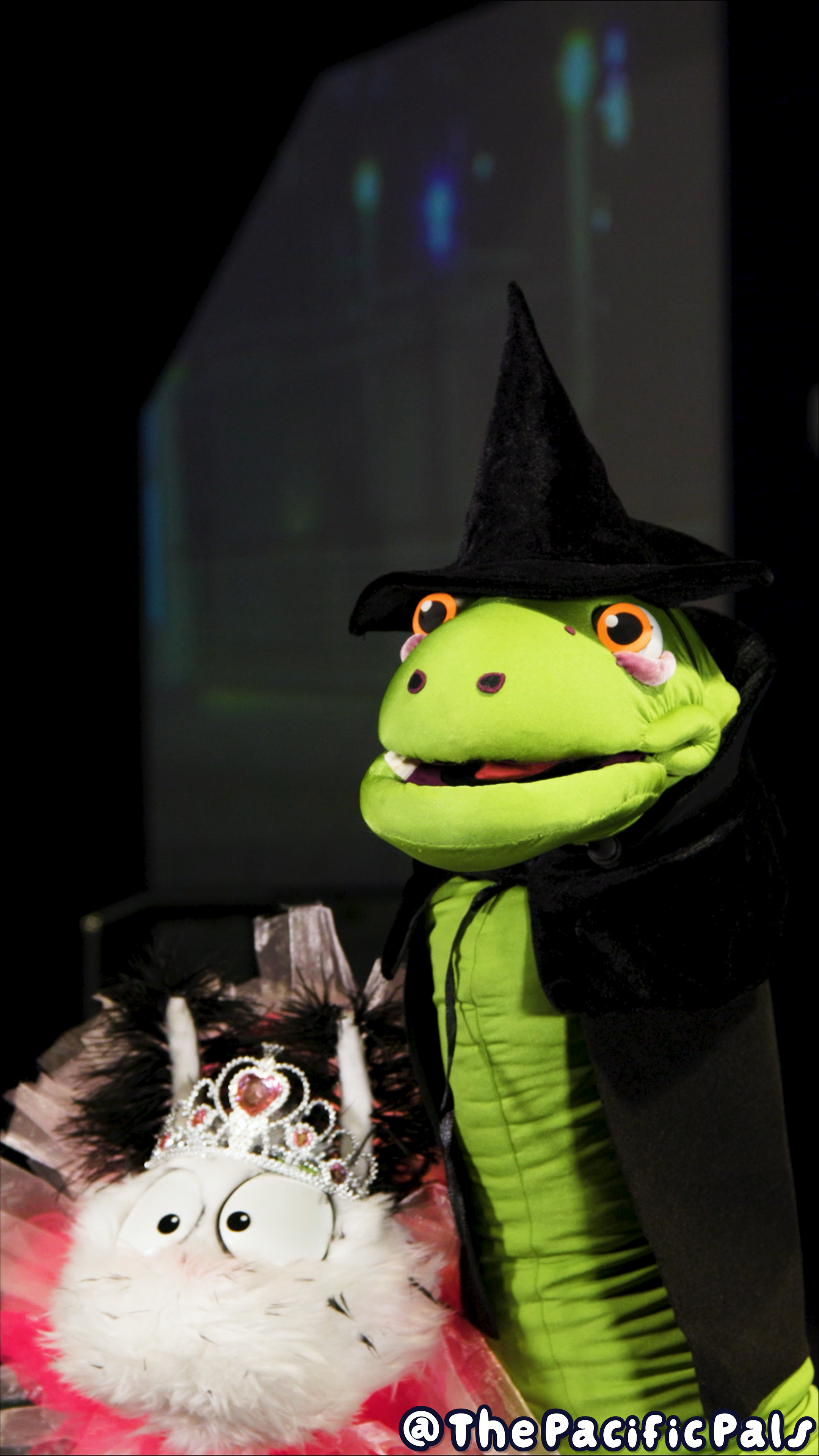 Bertrand the Eel and Beans the Sea Bunny look onward wearing witch costumes.