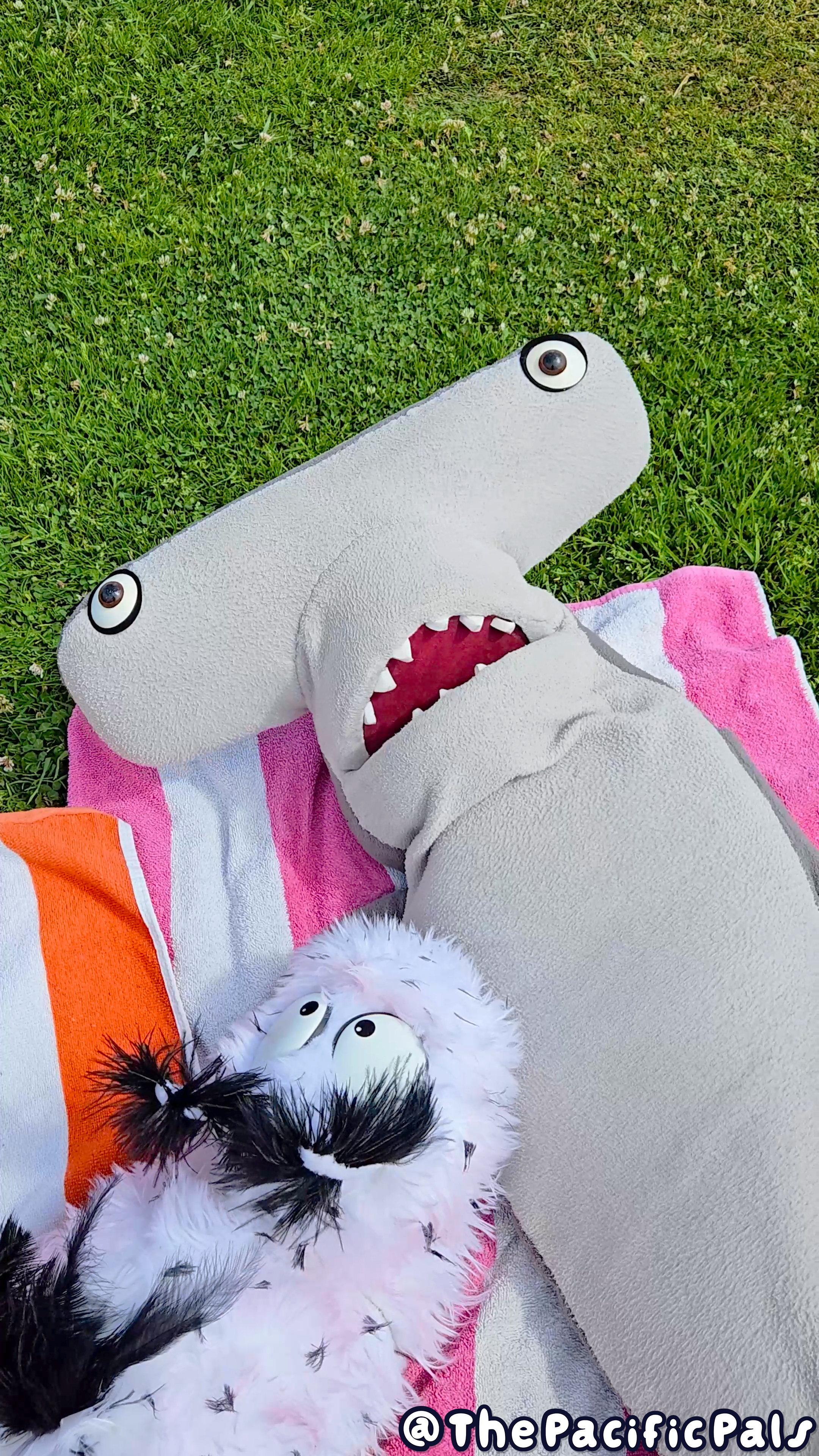 Seymour Shark and Beans the Sea Bunny lie on a colorful blanket in the grass.